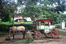 Horse & Cart, Pyin Oo Lwin, Myanmar