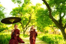 Myanmar Novice Monks