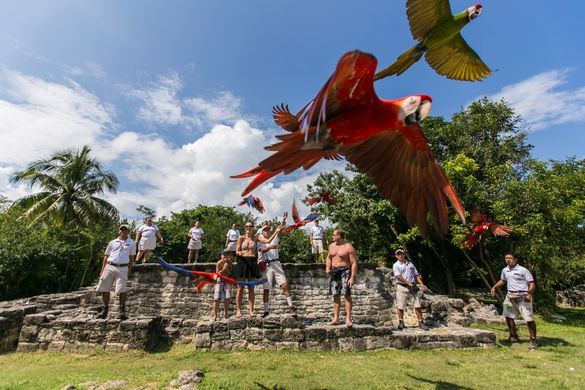 Guacamayas en Xcaret