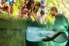 Manta en Xcaret