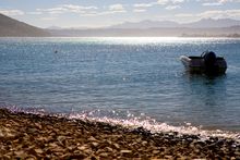 The Milkwood Collection