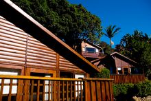 The Milkwood Collection