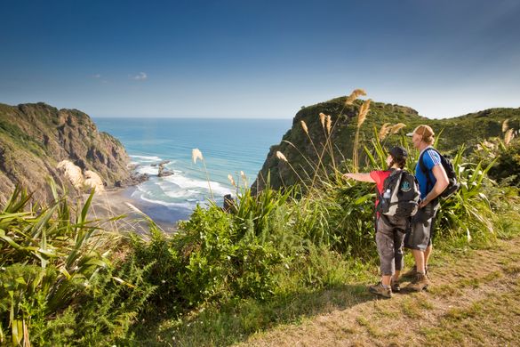 Auckland's Stunning Watakere Ranges with TIME Unlimited Tours
