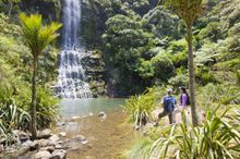 TIME Unlimited Tours from Auckland, New Zealand