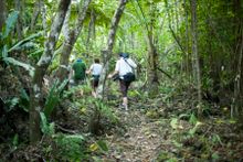 AnaTakitaki Cave Tour, Atiu