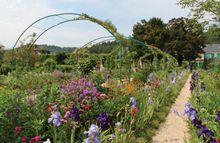 Monet's garden in Giverny