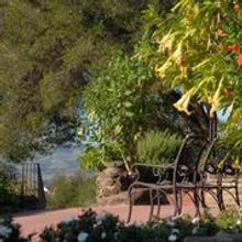 Vineyard view from Casa Sebastiani, home of the famed Sebastiani wine family, located in Sonoma, California.