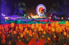 Floriade NightFest