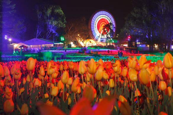 Floriade NightFest