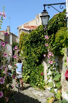 Village of Saint-Martin-de-Ré