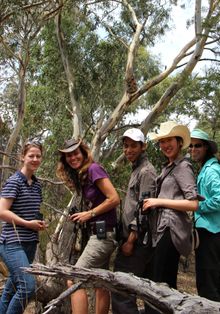 Koala Researcher Janine with guests and wild koala