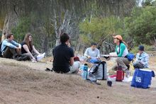 Koala Researcher Janine briefing a group of local volunteers