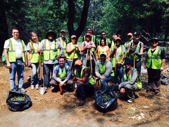 The Travel Corporation's Employees Volunteers at Yosemite National Park