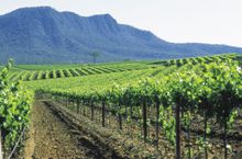 Hunter Valley, New South Wales