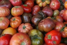 Local Heirloom Tomatoes