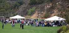 Santa Barbara Beer Festival