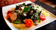 Andrei's Conscious Cuisine & Cocktails