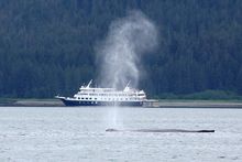 Safari Endeavour and humpback whale in Alaska