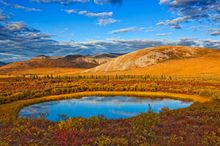 Yukon Autumn colours 