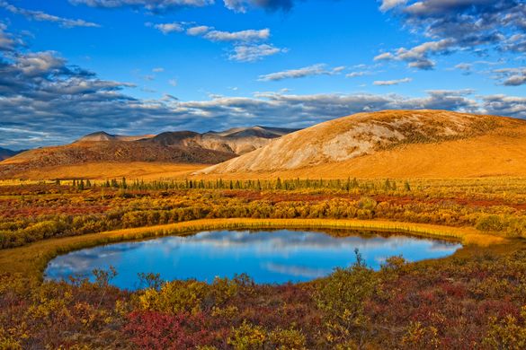 Yukon Autumn colours 