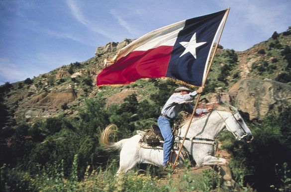 Horse owners travel extensively in Amarillo