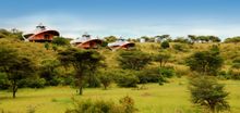 Game Viewing from Mahali Mzuri