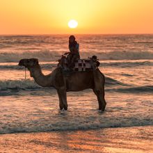 Sunset on a camel at Camp Adounia