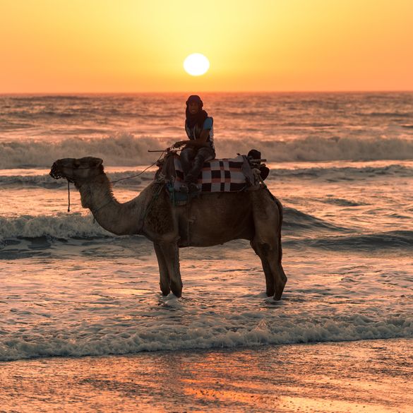 Sunset on a camel at Camp Adounia
