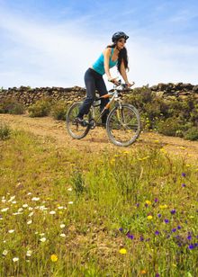 Ecovia cycle path