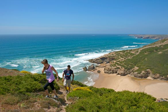Vicentino Coast
