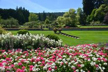 A view from the Italian Garden towards the Rose Garden