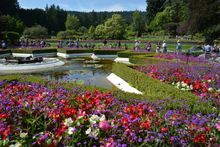 A view from the Star Pond