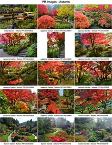 The colours of Autumn (individual photos available)