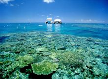 Great Barrier Reef Cruise
