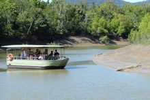 Whitsunday Crocodile Safari