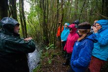 Lodge owner Silvio describes the delicate nature of the river flora to visitors.