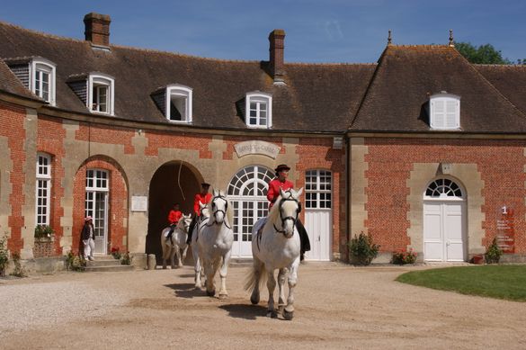 Haras du Pin