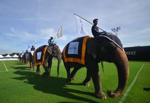 Opening Parade 