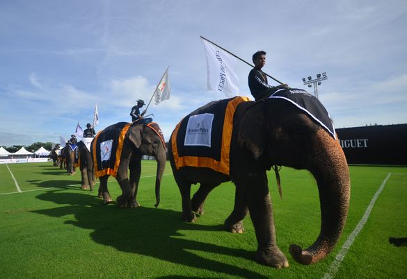 Opening Parade 