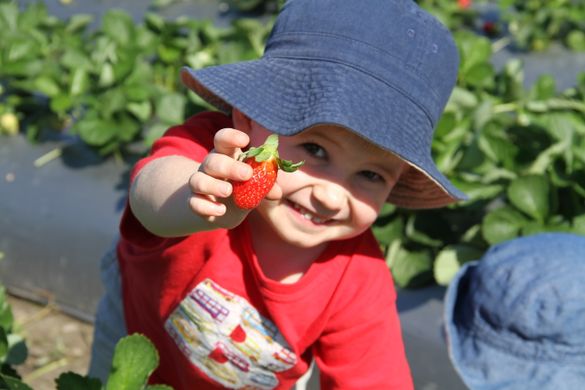 Strawberry Fields is a great place for kids
