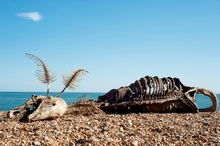 Charles Avery 'The Sea Monster', Folkestone Triennial 2011