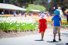 Canberra’s award-winning flower festival Floriade