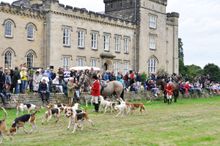 Chiddingstone Castle Country Fair