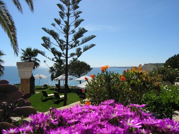 Natural Mediterranean Gardens