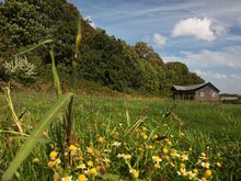 Glamping in Suffolk