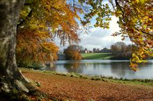 Autumn at Blenheim Palace