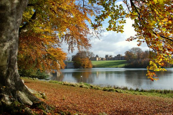 Autumn at Blenheim Palace