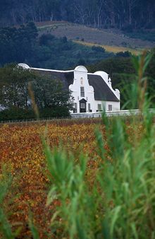 Groot Constantia
