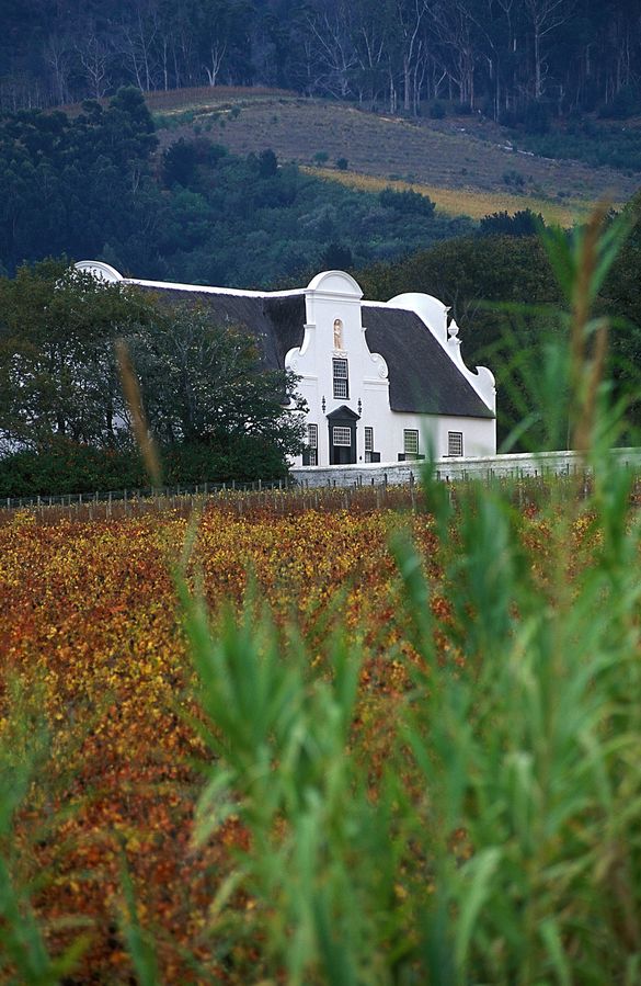 Groot Constantia