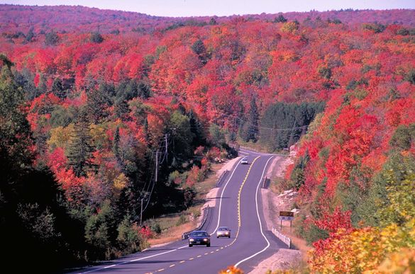 Algonquin Provincial Park, ON